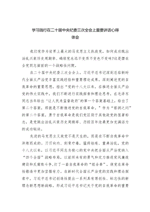 学习践行在二十届中央纪委三次全会上重要讲话心得体会（共五篇）.docx