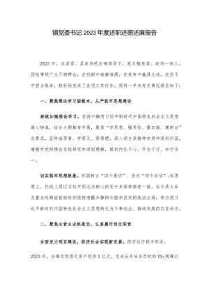 镇党委书记2023年度述职述德述廉报告.docx
