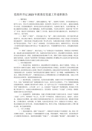党组织书记2023年抓基层党建工作述职报告.docx