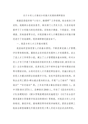 关于乡村人才推动乡村振兴发展的调研报告.docx