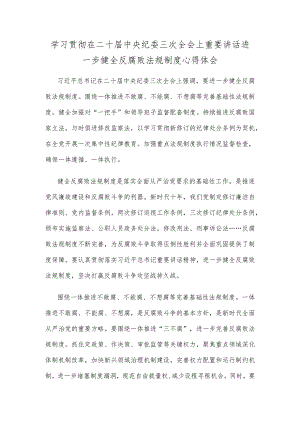 学习贯彻在二十届中央纪委三次全会上重要讲话进一步健全反腐败法规制度心得体会.docx