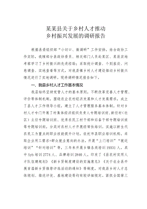 某某县关于乡村人才推动乡村振兴发展的调研报告.docx