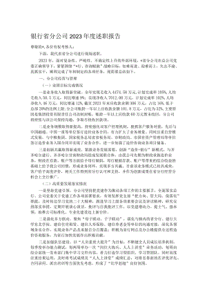 银行省分公司2023年度述职报告.docx