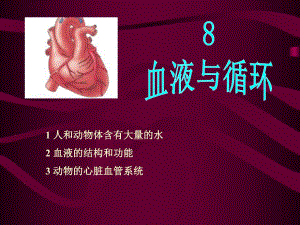 08血液与循环.ppt