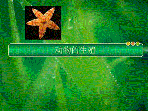 【精品PPT】无脊椎动物的生殖系统结构与功能及生殖方式的演化.ppt