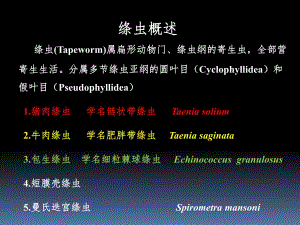 【精品PPT】1猪肉绦虫.ppt