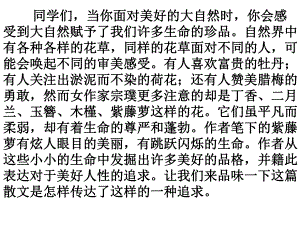 紫藤萝瀑布(公开课特等奖).ppt