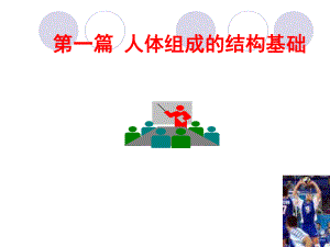 01细胞与细胞间质.ppt.ppt