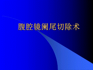【管理精品】腹腔镜阑尾切除术（PPT 16） .ppt