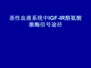 IGFIR酪氨酸激酶.ppt