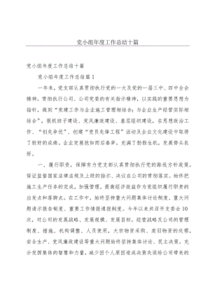 党小组年度工作总结十篇.docx