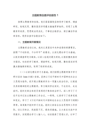 2023年主题教育自查评估报告参考范文7篇.docx