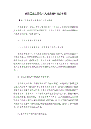 巡查民主生活会个人发言材料集合6篇_1.docx