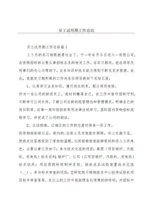 员工试用期工作总结.docx