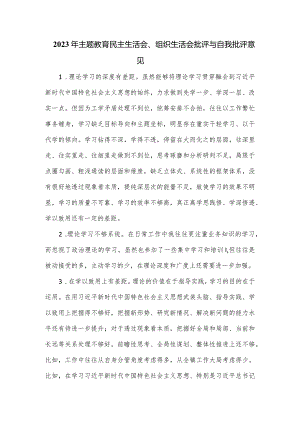 2023年主题教育民主生活会、组织生活会批评与自我批评意见.docx