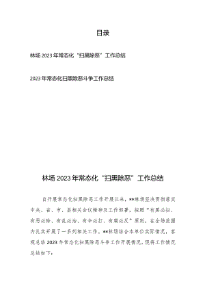 2023年常态化扫黑除恶斗争工作总结2篇.docx