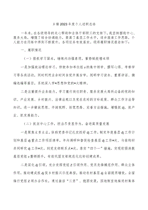 乡镇2023年度个人述职总结.docx