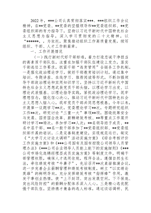 国企组织干部人才工作2022年度总结暨2023年工作计划.docx