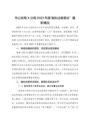 公安分局2023年度“谁执法谁普法”履职情况.docx