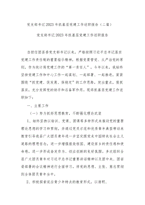 党支部书记2023年抓基层党建工作述职报告(二篇).docx