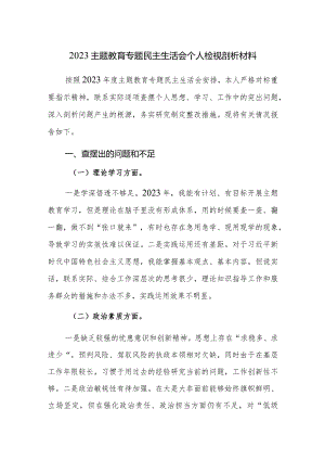 2023主题教育专题民主生活会个人检视剖析材料及党性分析材料范文2篇.docx