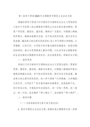第二批学习贯彻2023年主题教育专题民主生活会方案.docx