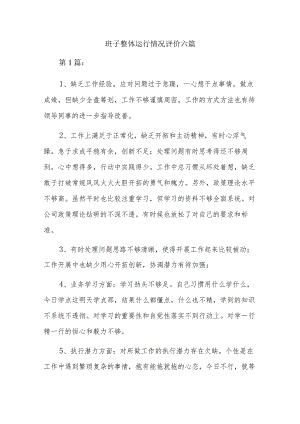 班子整体运行情况评价六篇.docx