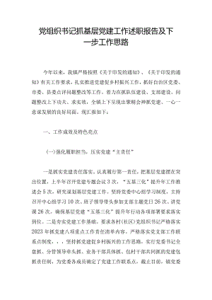 党组织书记抓基层党建工作述职报告及下一步工作思路.docx