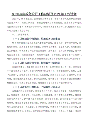 乡2023年政务公开工作总结及2024年工作计划.docx