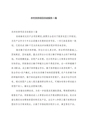 农村扶持项目总结报告3篇.docx