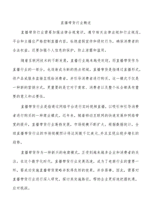 直播带货行业概述.docx