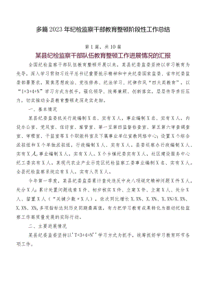 多篇2023年纪检监察干部教育整顿阶段性工作总结.docx