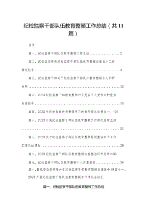 （11篇）纪检监察干部队伍教育整顿工作总结精选.docx
