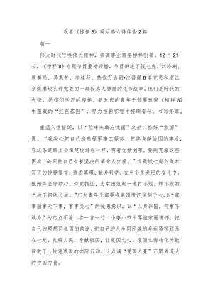观看《榜样8》观后感心得体会2篇.docx