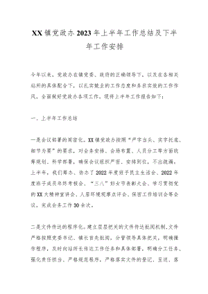 XX镇党政办2023年上半年工作总结及下半年工作安排.docx