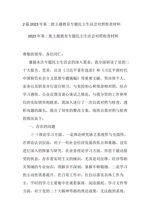 2篇2023年第二批主题教育专题检查材料.docx