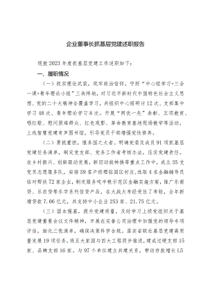 企业董事长2023-2024抓基层党建述职报告.docx
