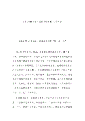 3篇2023年学习观看《榜样8》心得体会.docx