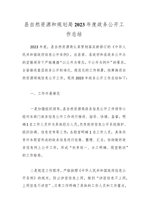 县自然资源和规划局2023年度政务公开工作总结.docx