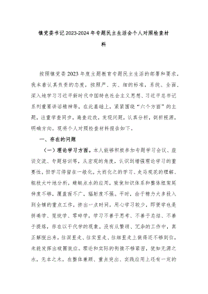 镇党委书记2023-2024年专题民主生活会个人对照检查材料.docx