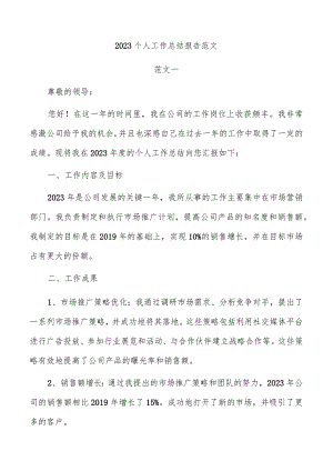 2023个人工作总结报告范文.docx