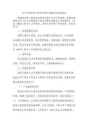 关于开展控股不控权问题专项整治的自查报告.docx