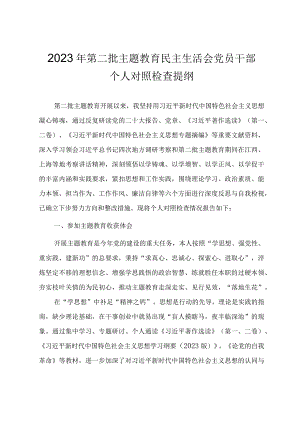 第二批主题教育民主生活会党员干部个人对照检查提纲.docx