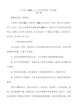 公司员工2023个人工作总结报告（共3篇）.docx