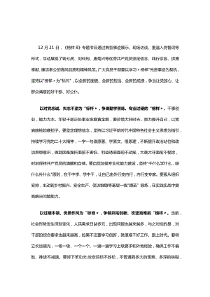 党支部榜样8观后感心得体会(精选）.docx