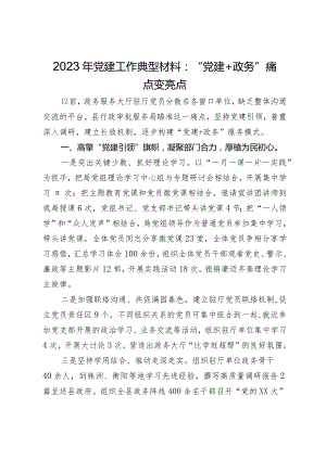 2023年党建工作典型材料：“党建＋政务”痛点变亮点.docx
