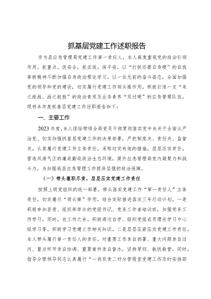 应急管理局抓基层党建工作述职报告.docx