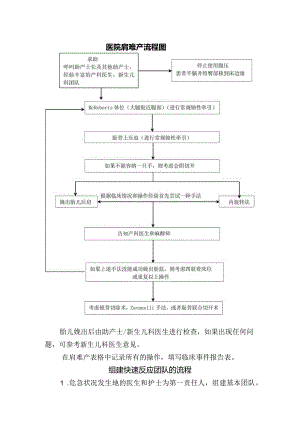 医院肩难产流程图.docx