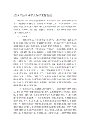 2023年县未成年人保护工作总结.docx