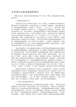 乡党委书记抓党建述职报告.docx